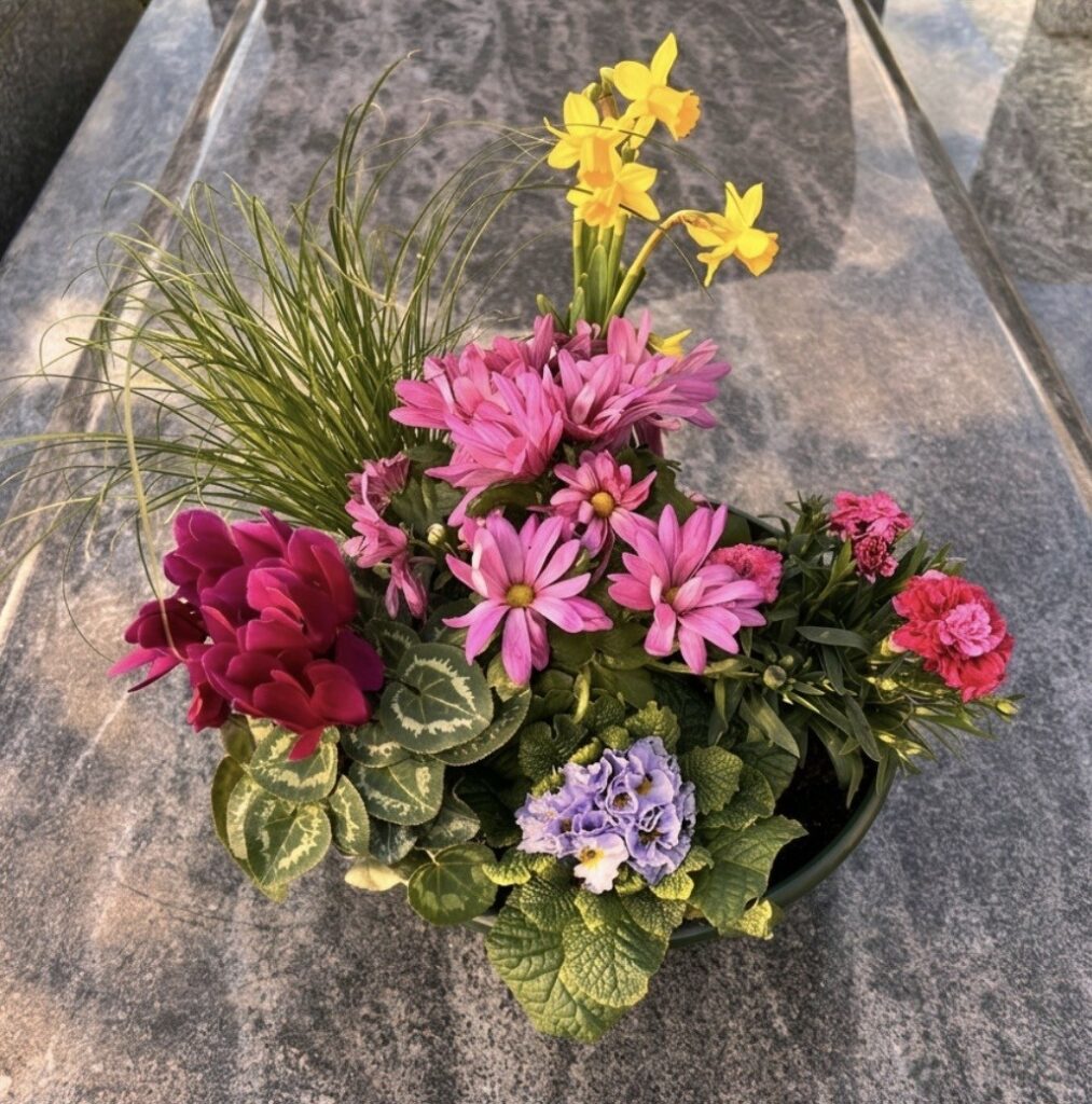 fleurs naturelles, composition 6 plantes