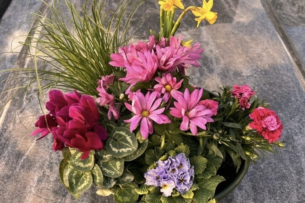 fleurs naturelles, composition 6 plantes