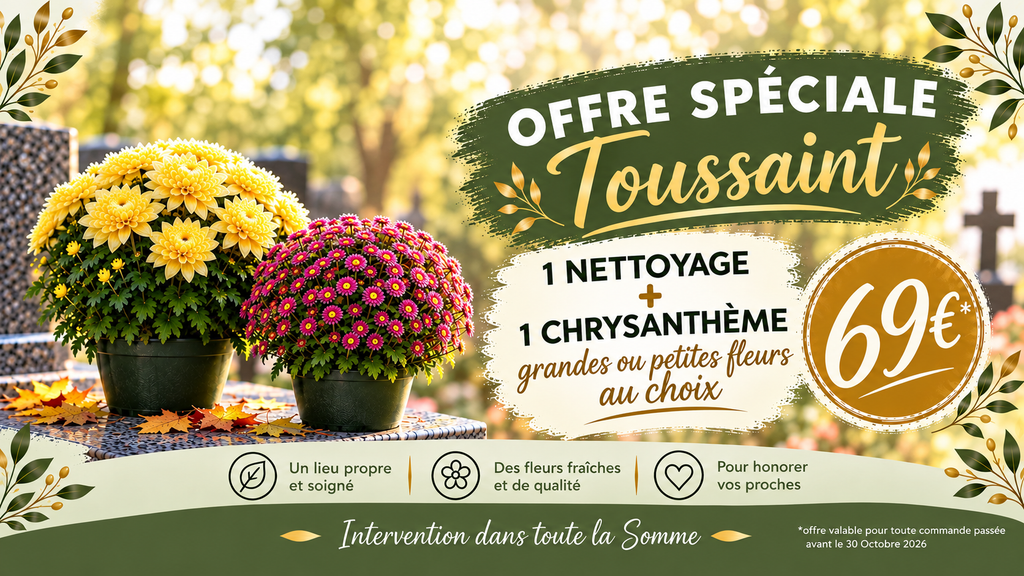 Toussaint, chrysanthème, cimetière, offre Toussaint, nettoyage tombe, sépultures